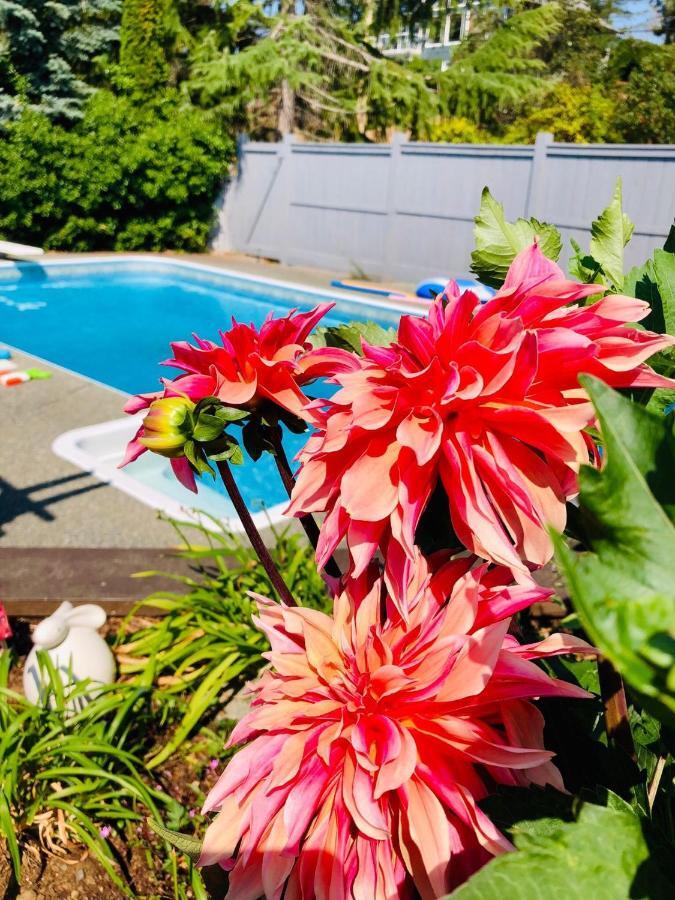 Nanaimo Garden House With Pool酒店 客房 照片